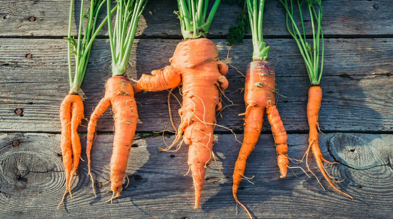 Perfektionismus: Ein Plädoyer für das persönliche Mittelmaß